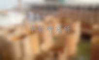 鋼管樁檢測