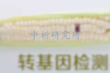 轉(zhuǎn)基因食品檢測