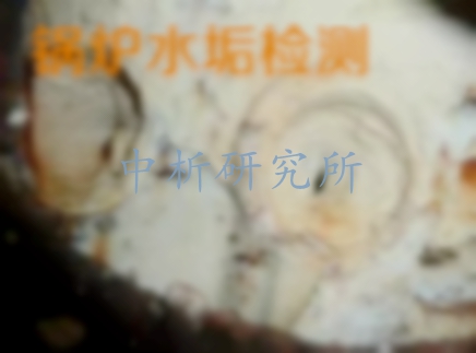 水垢檢測