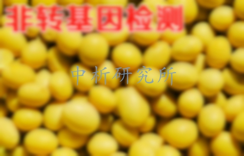 非轉(zhuǎn)基因檢測(cè),非轉(zhuǎn)基因檢測(cè)機(jī)構(gòu),非轉(zhuǎn)基因食品檢測(cè)
