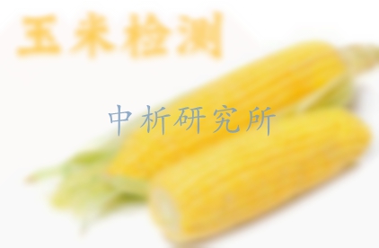 玉米檢測