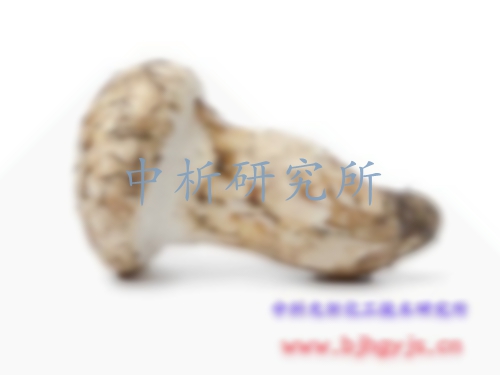 松茸檢測