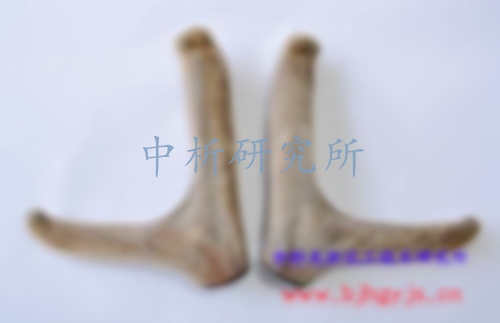 鹿茸檢測,鹿茸檢測中心,鹿茸檢測機(jī)構(gòu), 鹿茸成分檢測,鹿茸檢測報告
