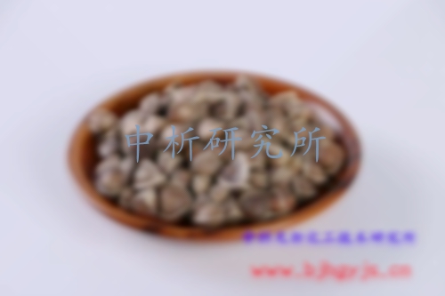辣木檢測