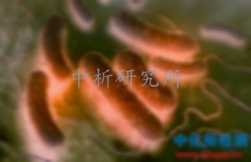 大腸菌群檢測(cè)