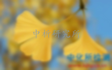 銀杏葉檢測(cè)