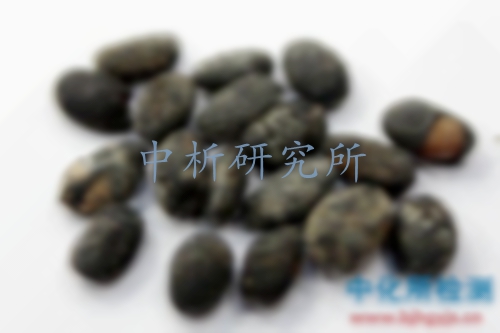 豆鼓檢測
