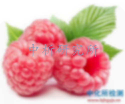 覆盆子檢測