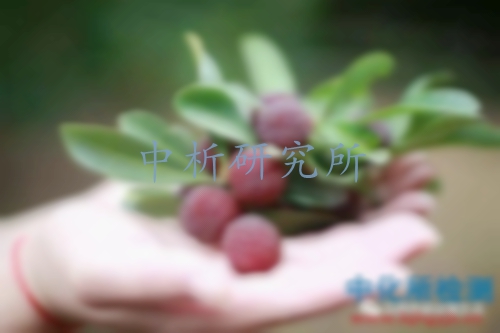 有機酸檢測