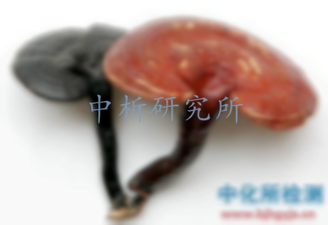 靈芝檢測