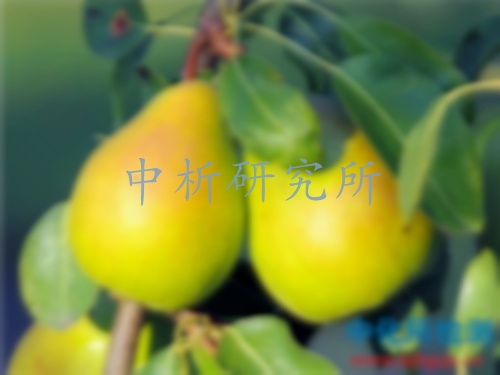 四環(huán)素檢測(cè)