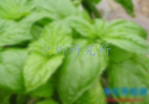 生物堿檢測(cè)