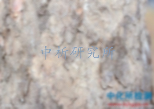 樹皮檢測
