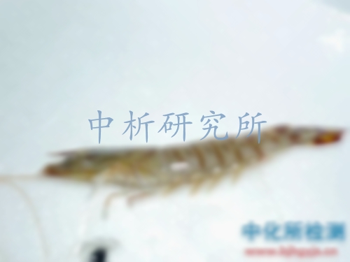 揮發(fā)性鹽基氮檢測