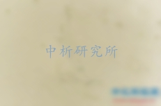 霉菌試驗(yàn)