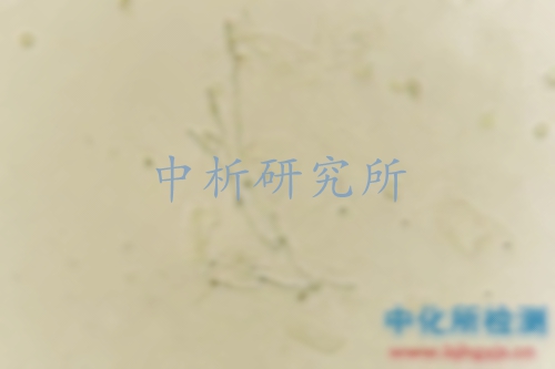 霉菌試驗(yàn)