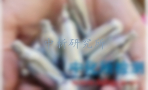 一氧化二氮檢測