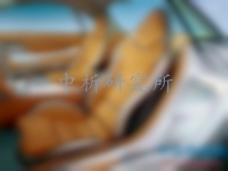 汽車內飾檢測