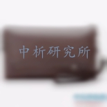 皮包檢測(cè)