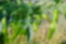 溴氰菊酯檢測