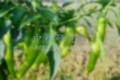 溴氰菊酯檢測
