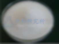 阿斯巴甜檢測