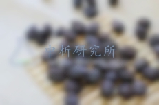 烏梅檢測