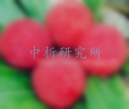 楊梅檢測