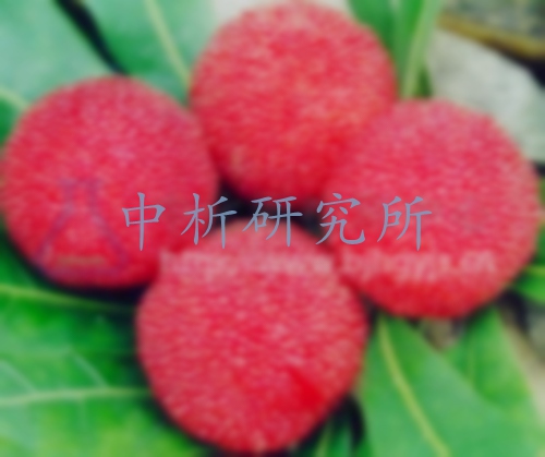 楊梅檢測