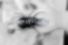 昆蟲檢測
