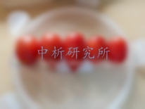 圣女果檢測報(bào)告