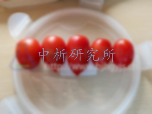 圣女果檢測報(bào)告