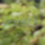 桉油精檢測
