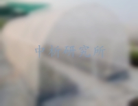 防蟲網(wǎng)檢測