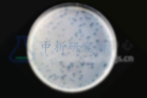 李斯特氏菌檢測