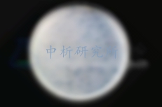 地衣芽孢桿菌檢測(cè)