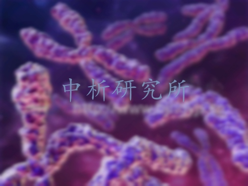倍性鑒定