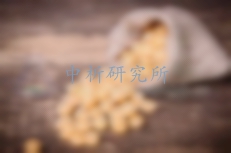 鷹嘴豆檢測