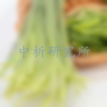 蒜薹檢測(cè)