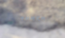 堿集料反應(yīng)