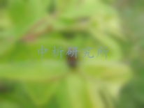 馬拉硫磷檢測(cè)