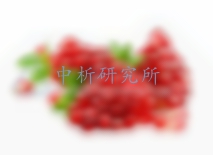 鞣花酸檢測