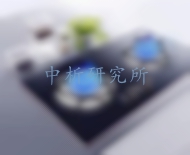 燃?xì)庠顧z測