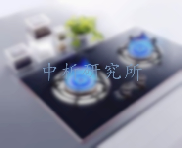 燃?xì)庠顧z測,燃?xì)庠顧z測報告