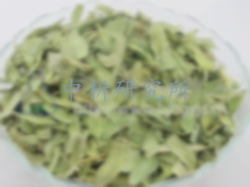 羅布麻檢測,羅布麻藥典檢測