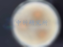 抑菌圈實(shí)驗(yàn),抑菌圈實(shí)驗(yàn)報(bào)告