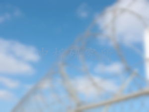 刺網(wǎng)檢測,刺網(wǎng)檢測報告