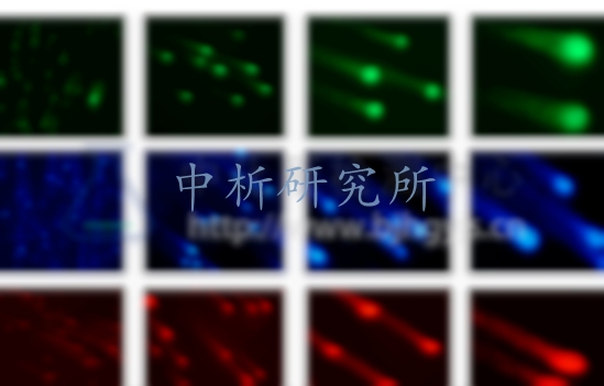 彗星實驗