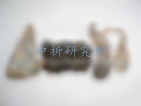 熊膽檢測(cè)