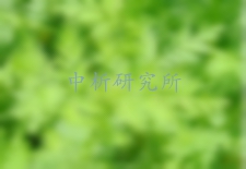 青蒿素檢測(cè),青蒿粉檢測(cè),青蒿油檢測(cè)